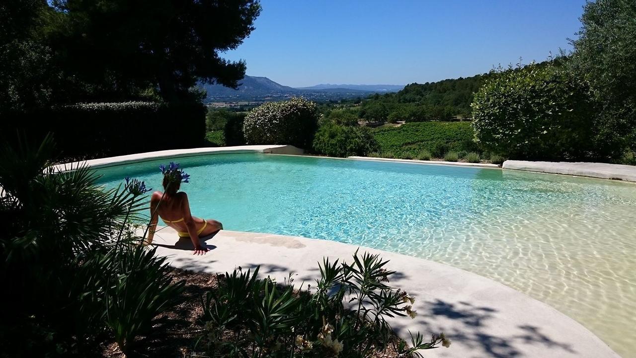 Le Vieux Bistrot Otel Cabrières-dʼAvignon Dış mekan fotoğraf